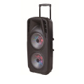 Double 10 Inch Battery Speaker in Professional Audio for DJ Stage F73D